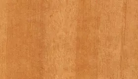 Образец № 10