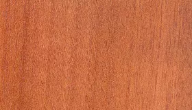 Образец № 25