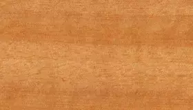 Образец № 24