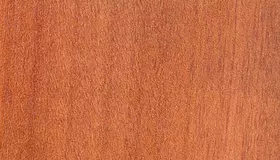 Образец № 16