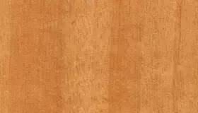 Образец № 52